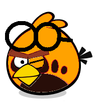 Orange Goggle Bird