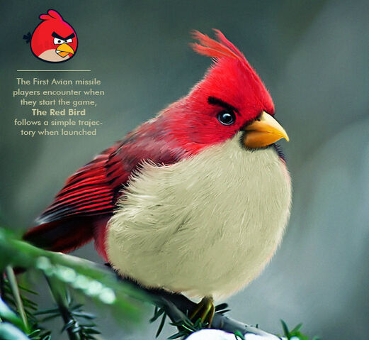 File:Real Strawdina.jpg