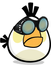 Bird goggle