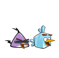 Wild-Lazer-Bird