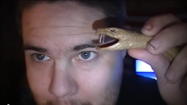 File:Pickleboy-and-snake.jpg