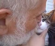 Catkissing