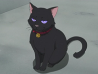Mao.png