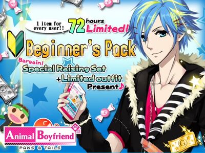 Beginner Pack