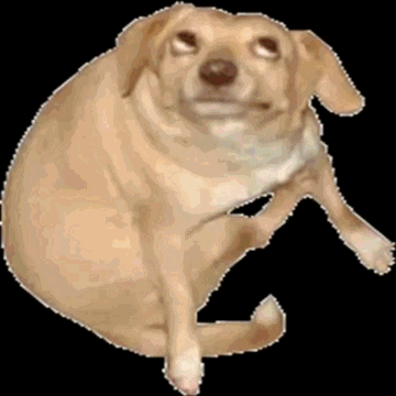 Image - Dancing doggo.gif | Animal Jam Clans Wiki | FANDOM powered by Wikia