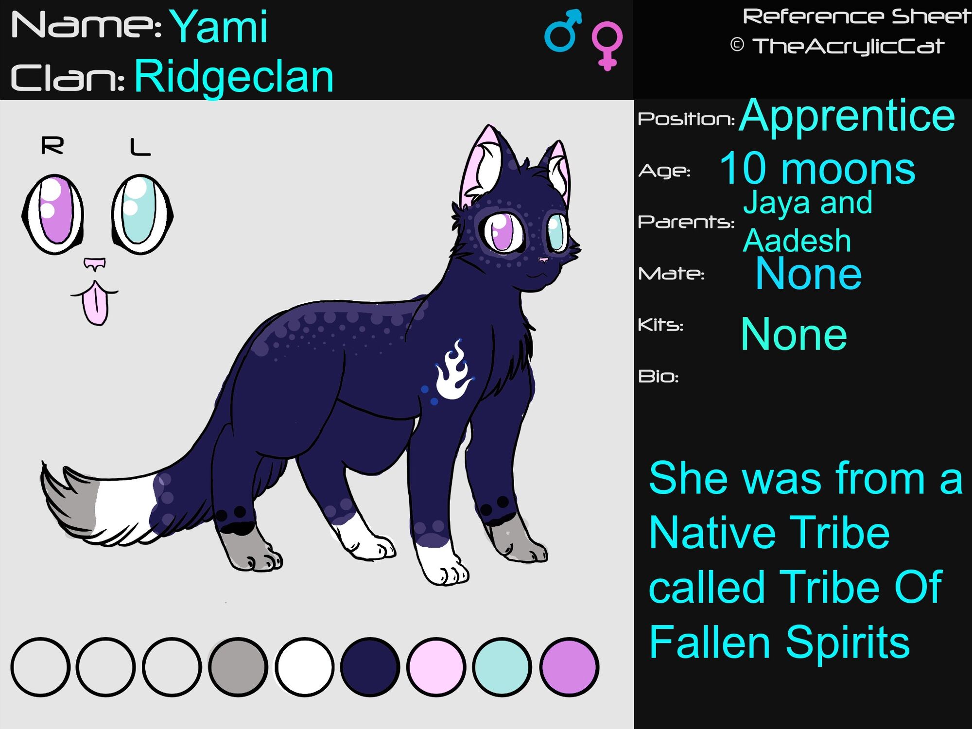 Image Warrior cat cat oc reference sheet gimp friendly by