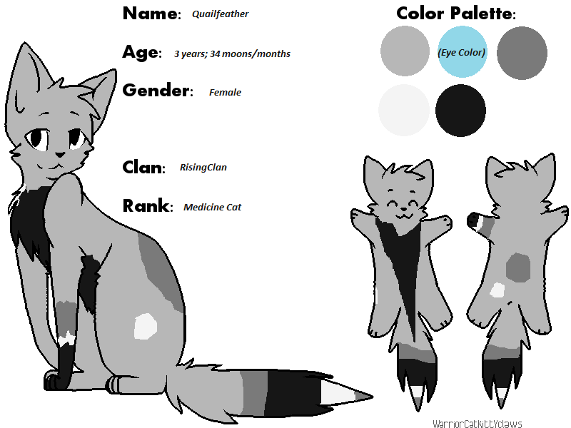 Cat Blank Warrior Cat Reference Sheet