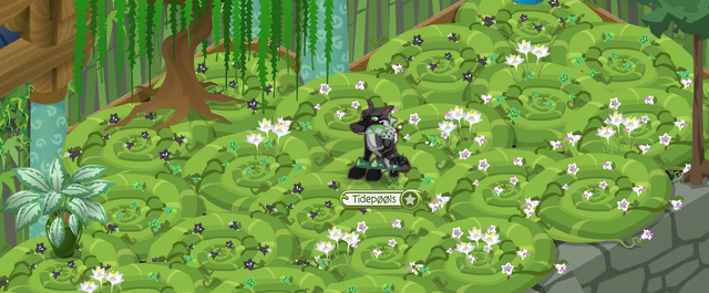 File:Warrior's.png