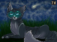 One of the starclan cats that sends signs