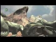 Dicynodon