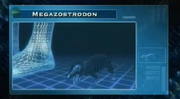 Megazostrodon