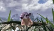 Purgatoris animal armageddon