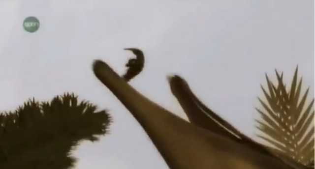 File:Fly2.png