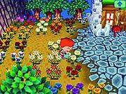 Flores.jpg