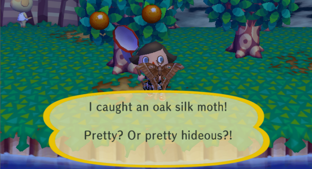 File:Oaksilk.png