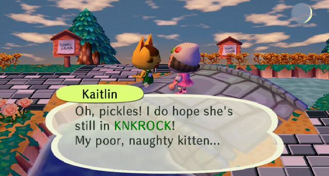 File:Kaitlin in town.jpeg