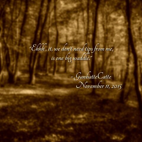 File:Quote.jpg