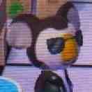 GreaseKoala