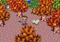 Autumn.jpg