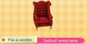 Fauteuil somptueux