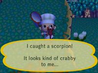 Scorpion