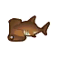 Fish (New Leaf) | Animal Crossing Wiki | Fandom powered by Wikia