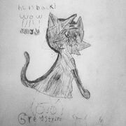 Realdrawngraystripeforgraystripe