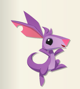 Pet Joey | Animal Jam Wiki | FANDOM powered by Wikia