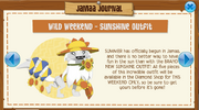 Jamaa Journal Sunshine Outfit