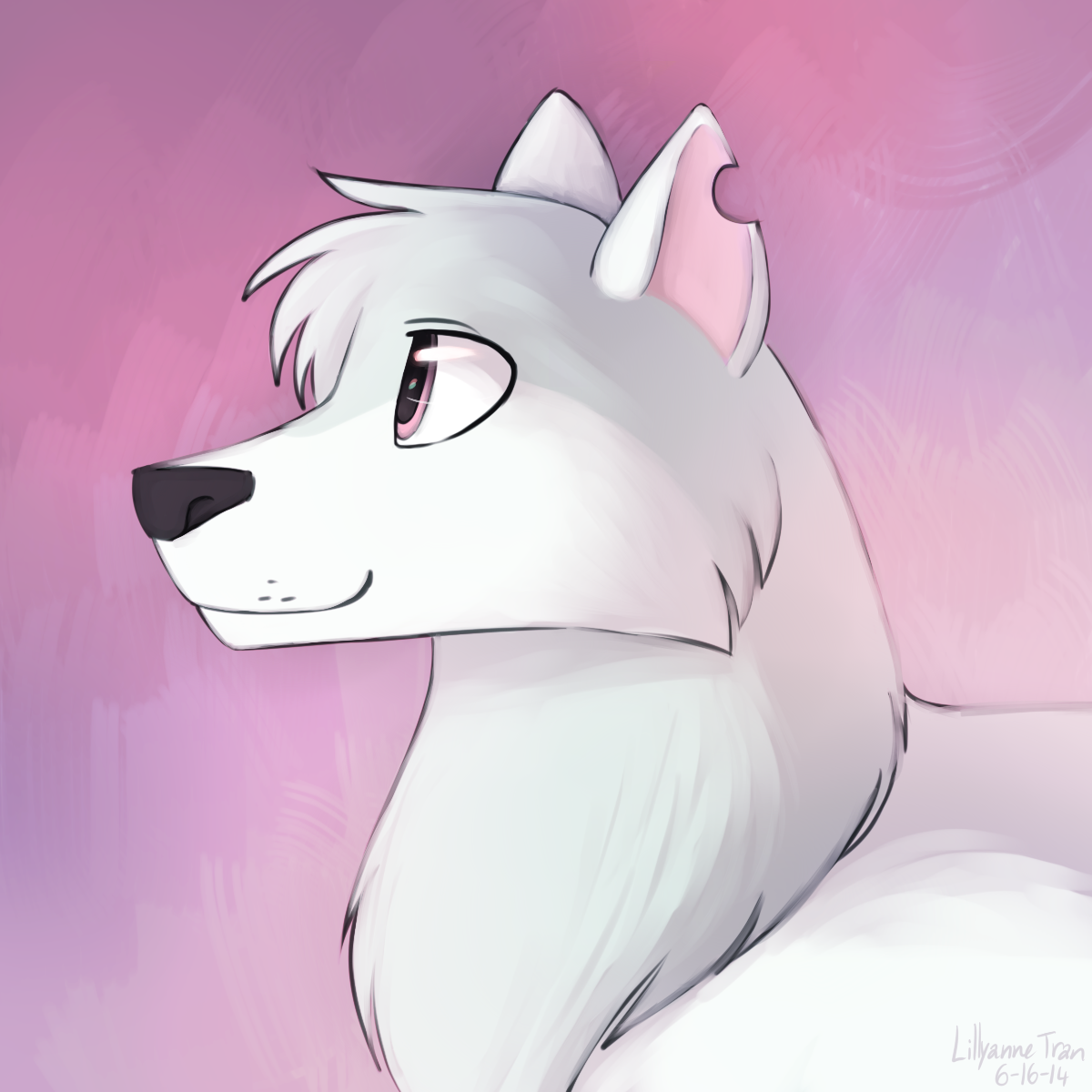 Image - AJ Artic Wolf.png | Animal Jam Wiki | FANDOM powered by Wikia