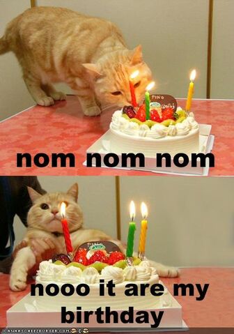 File:Funny-pictures-cat-wants-his-birthday-cake.jpg