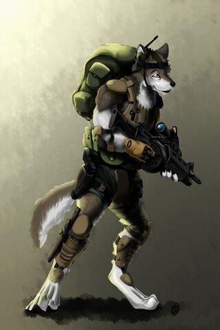 File:Wolf soldier.jpg