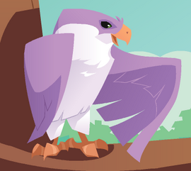 Falcon - Animal Jam Wiki - Wikia