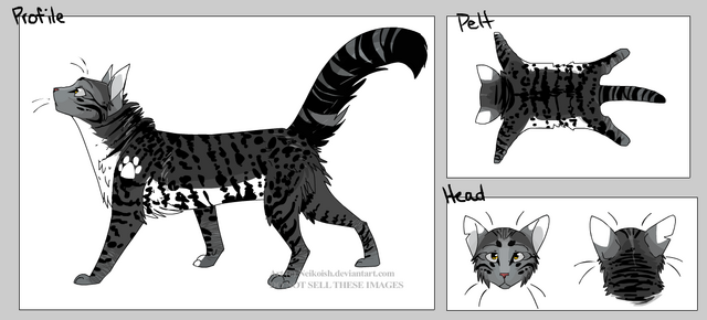 File:ShadowPaw.png