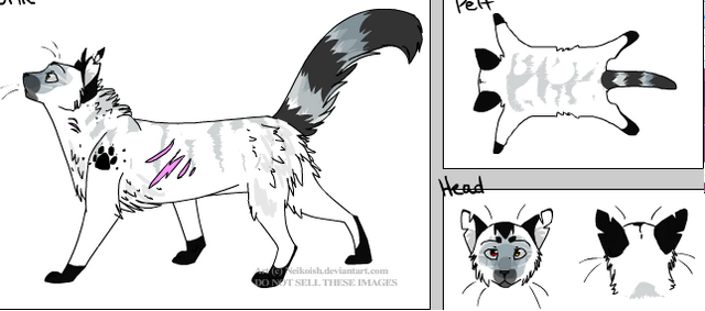 File:Anakin as a Cat..png