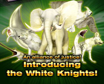 White Knights