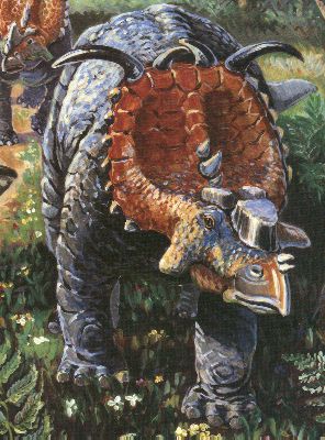 Pachyrhinosaurus