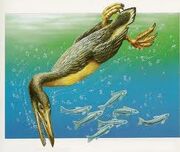 Hesperornis Regalis