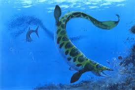 Platecarpus