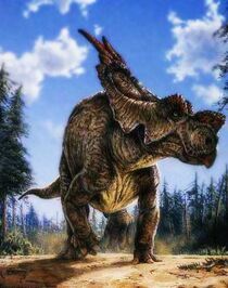 Achelousaurus