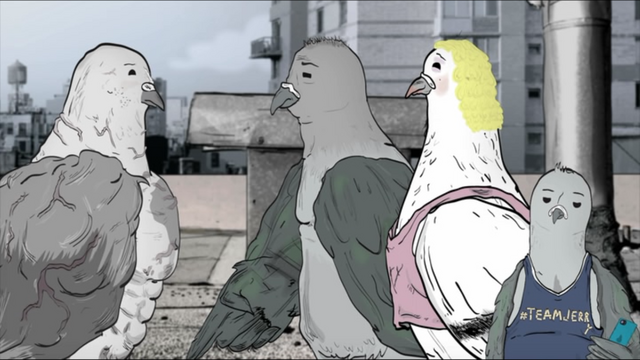 File:PigeonMeet.png