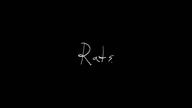 File:RatsTitle.png