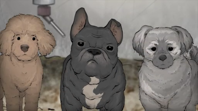 File:OldPuppy.png