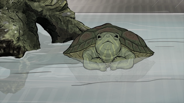 File:OtherTurtle.png