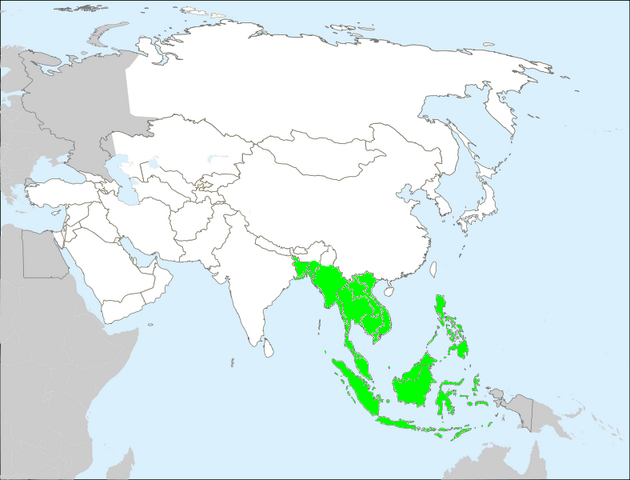 File:Python reticulatus Area.png