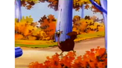 Pavo