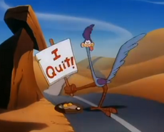 Road runner2