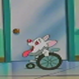 Jerry-1.png