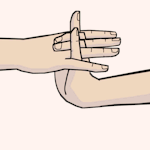 Ochse.png