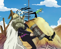 Duval vs. Sanji